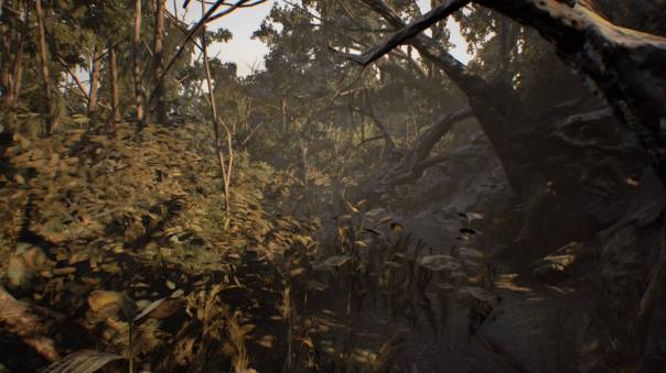 16797869_1459494254062840_238585235475680313_o